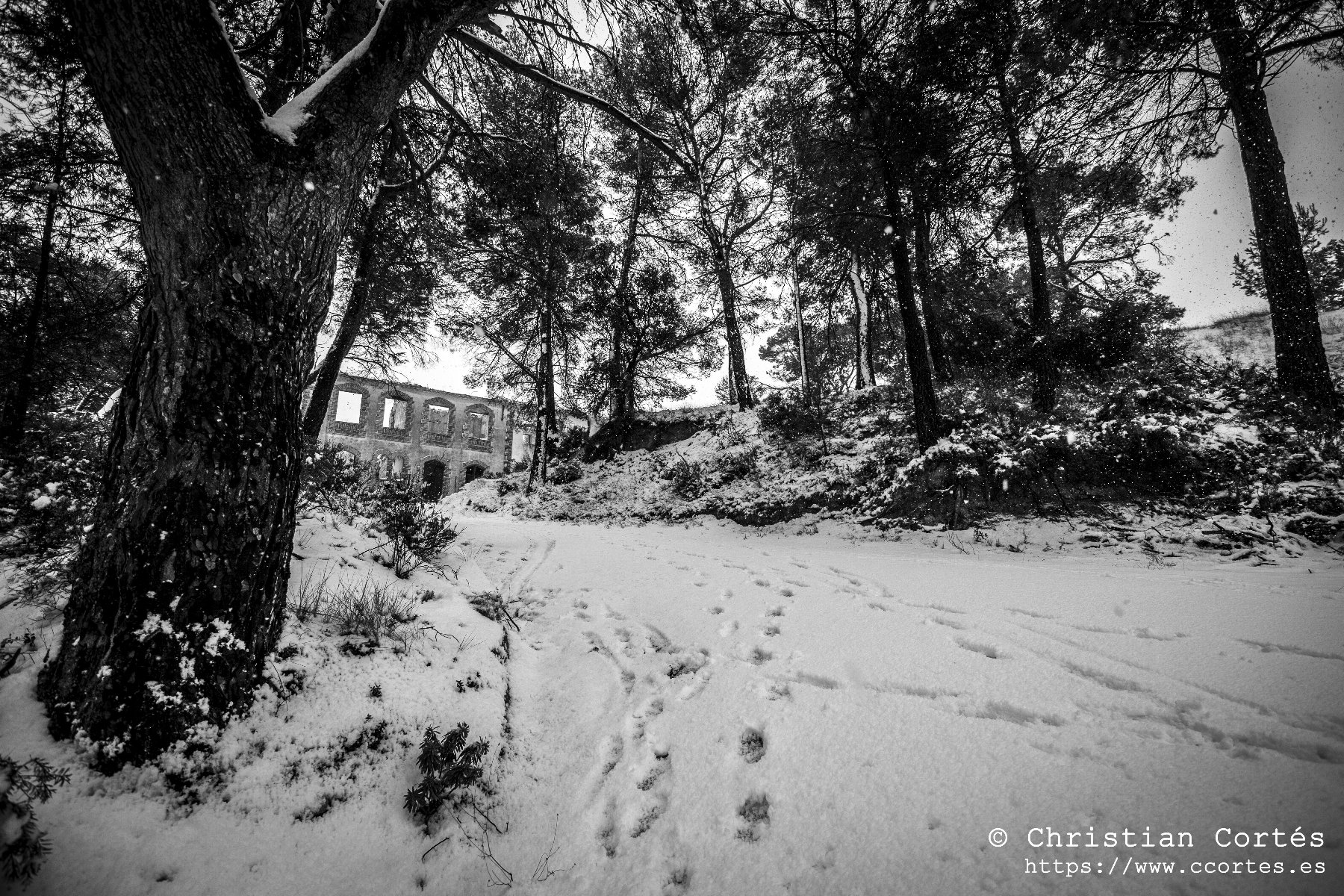 Nieve en Alicante 04